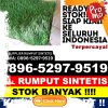 Penjual Rumput Palsu Kabupaten Jembrana.jpg