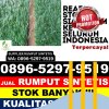 Grosir Rumput Plastik Laweyan.jpg