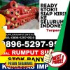 Grosir Rumput Imitasi Pemangkat.jpg