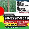 Jual Rumput Palsu Kluet Selatan.jpg