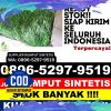 Penjual Rumput Palsu Kabupaten Kutai Kartanegara.jpg