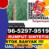 Jual Rumput Sintetis Lawang.jpg