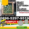 Agen Rumput Sintetis Bangli.jpg