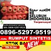 Penjual Rumput Plastik Senyerang.jpg