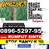 Grosir Rumput Plastik Lingga Utara.jpg