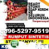 Grosir Rumput Imitasi Picung.jpg