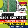 Agen Rumput Palsu Moro O.jpg