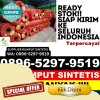 Distributor Rumput Plastik Nguter.jpg