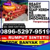 Gudang Rumput Sintetis Padang Utara.jpg