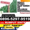 Jual Rumput Sintetis Limpasu.jpg