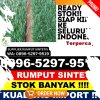 Grosir Rumput Plastik Longkib.jpg