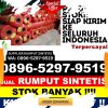 Grosir Rumput Imitasi Pollung.jpg