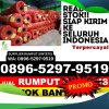 Distributor Rumput Plastik Pabelan.jpg