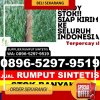 Jual Rumput Palsu Kota Sibolga.jpg