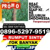 Jual Rumput Sintetis Long Bagun.jpg