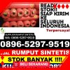 Penjual Rumput Plastik Siberut Selatan.jpg