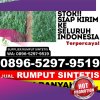 Agen Rumput Palsu Munjungan.jpg