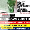 Penjual Rumput Palsu Kabupaten Tegal.jpg