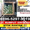 Agen Rumput Sintetis Batu Ketulis.jpg