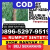 Grosir Rumput Plastik Majenang.jpg