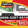 Gudang Rumput Imitasi Karya Penggawa.jpg