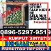 Agen Rumput Sintetis Bendungan.jpg