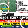 Jual Rumput Palsu Labuan.jpg