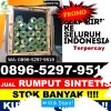 Distributor Rumput Palsu Blangkejeren.jpg