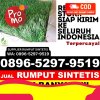 Penjual Rumput Palsu Kapuas Hulu.jpg