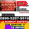 Penjual Rumput Plastik Singkil.jpg