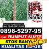 Jual Rumput Sintetis Mangunjaya.jpg