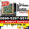 Agen Rumput Sintetis Bilah Barat.jpg