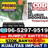 Penjual Rumput Palsu Karangnongko.jpg