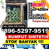 Agen Rumput Sintetis Blang Pidie.jpg