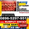 Penjual Rumput Plastik Sitolu Ori.jpg