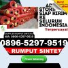 Gudang Rumput Sintetis Pataruman.jpg