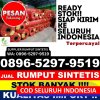 Agen Rumput Palsu Palasah.jpg