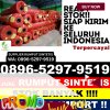 Distributor Rumput Plastik Pasawahan.jpg