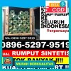 Distributor Rumput Palsu Bukit Kapur.jpg