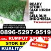 Penjual Rumput Palsu Kebumen.jpg