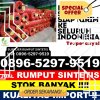 Gudang Rumput Sintetis Pegajahan.jpg