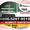 Jual Rumput Sintetis Medan Timur.jpg