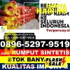 Grosir Rumput Imitasi Rupat Utara.jpg