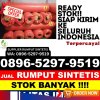 Penjual Rumput Plastik Sukajadi.jpg