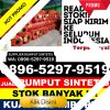 Distributor Rumput Plastik Patimpeng.jpg