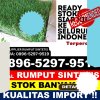 Penjual Rumput Palsu Kelapa Nunggal.jpg