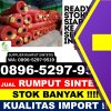 Pusat Rumput Plastik Robatal.jpg