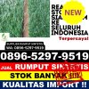 Jual Rumput Sintetis Mentaya Hulu.jpg