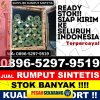 Distributor Rumput Palsu Camplong.jpg