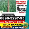 Penjual Rumput Palsu Kencong.jpg